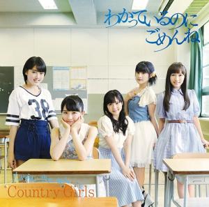 Wakatteiru no ni gomen ne / Tamerai summer time (limitée Type C)