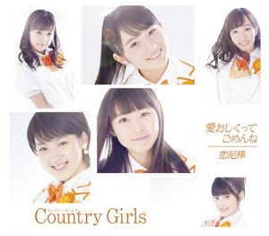 Itooshikutte Gomen ne / Koi Dorobou (régulière Type A)